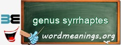 WordMeaning blackboard for genus syrrhaptes